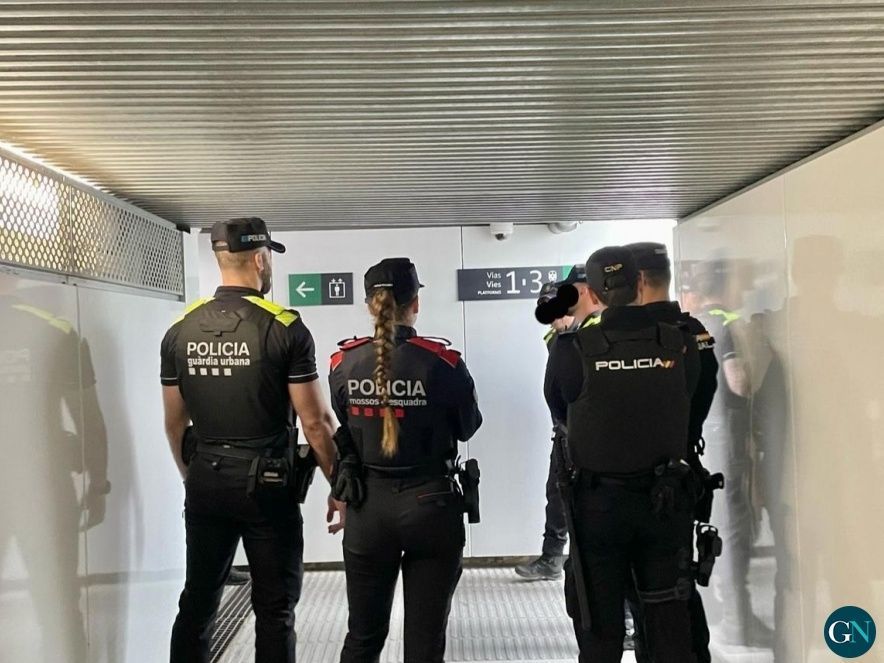 Dispositiu policial conjunt a Figueres 