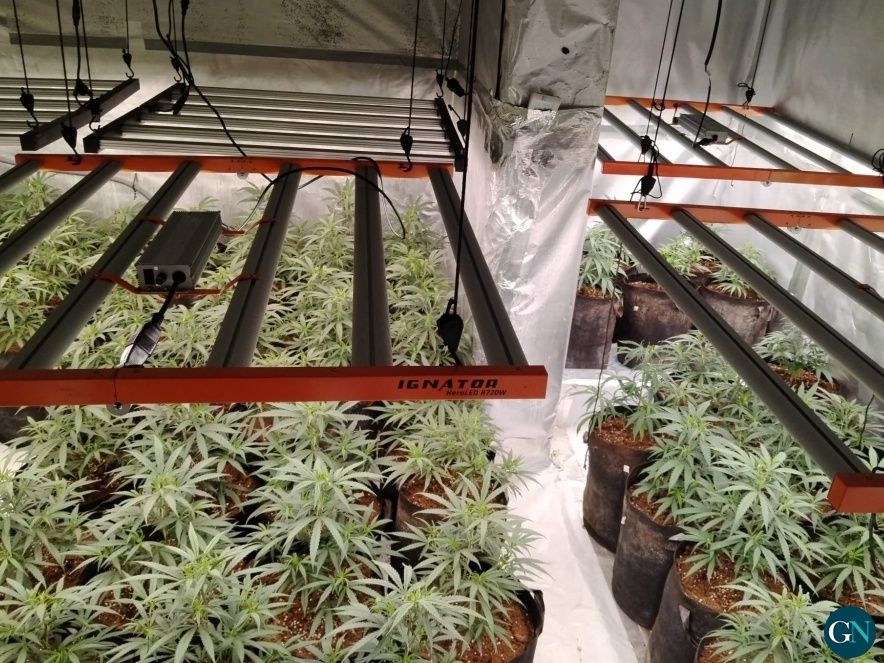 Desmantellament d’un cultiu indoor de marihuana a Llançà 