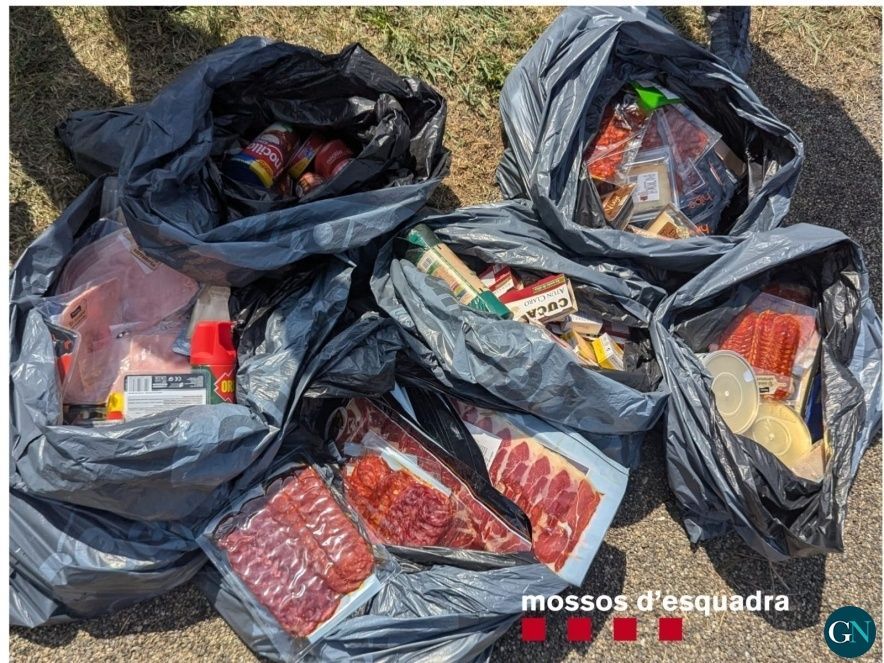 Mossos d'Esquadra  