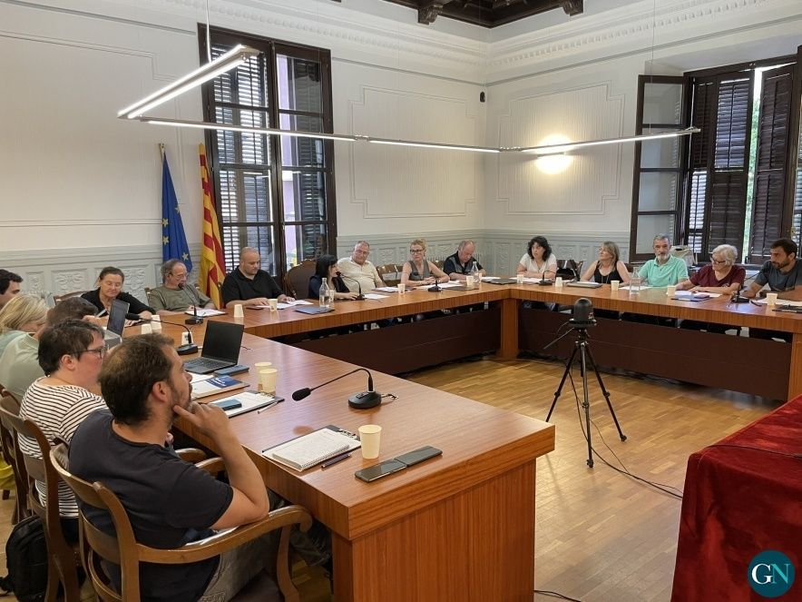 Ple Aj.Ripoll 