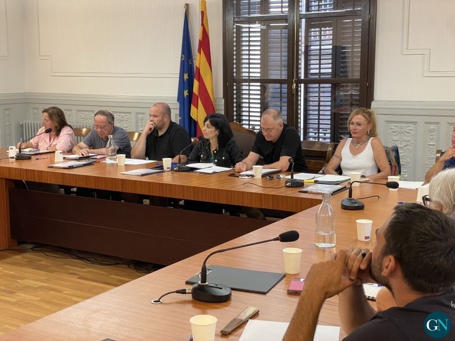 Ple Aj.Ripoll