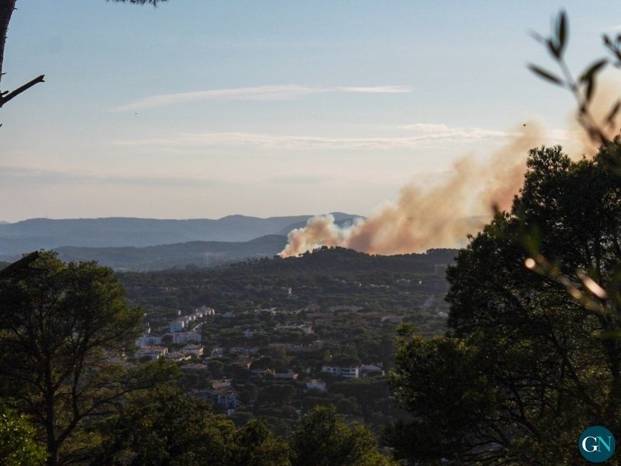 Incendi a la població de Mont-ras - Alba Pareras de la Cruz / GN 