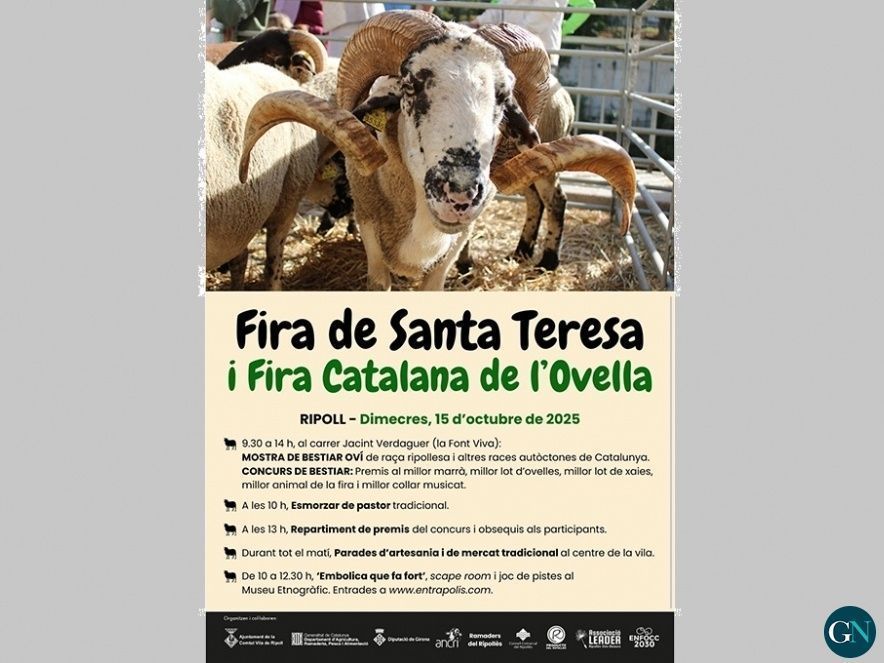 Fira de Santa Teresa i Fira Catalana de l’Ovella de Ripoll 2025 