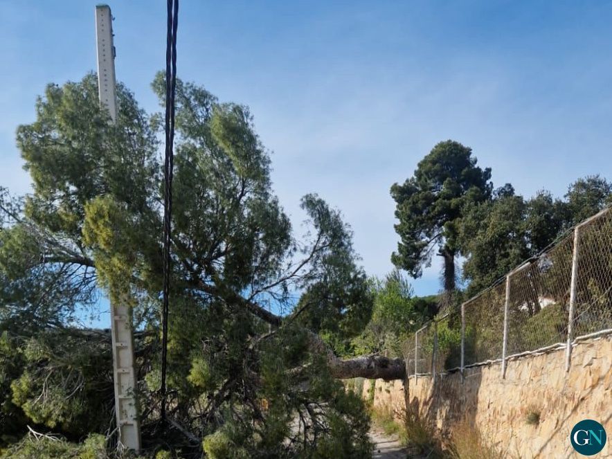 Incidències a Castell d’Aro, Platja d’Aro i S’Agaró 