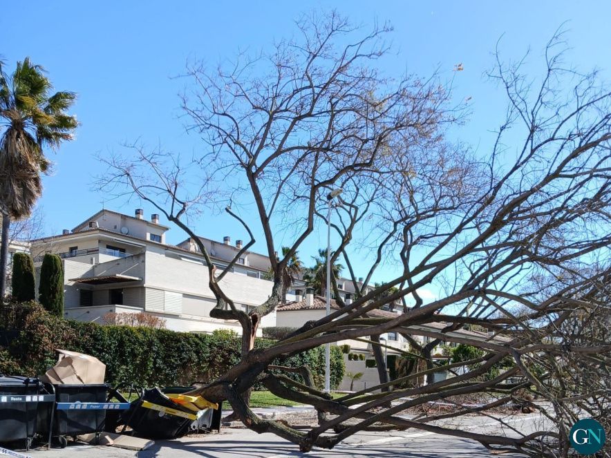 incidències pel fort vent al municipi 