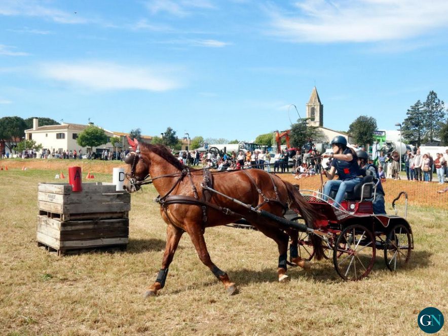 Fira Comarcal de Primavera de Campllong 2025