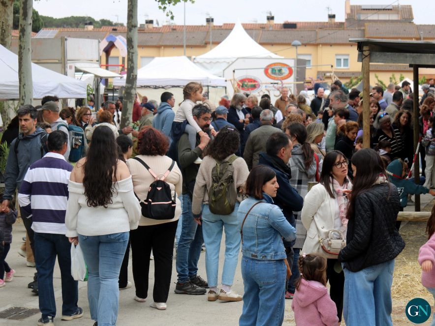 42a Fira Comarcal de Primavera de Campllong / Aj.Campllong 