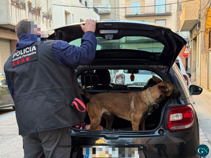 Dispositiu policial conjunt a Figueres 