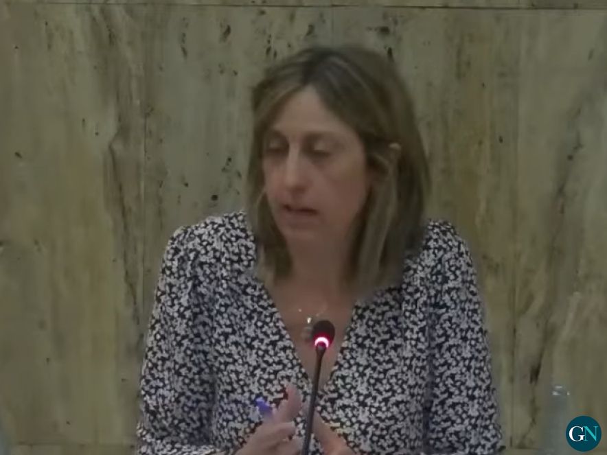 Alcaldessa, Cristina Alarcon Piedra al Ple de dilluns