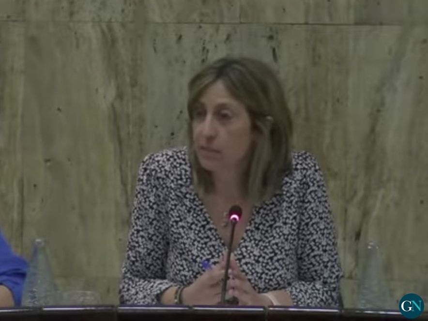 Cristina Alarcon Piedra al Ple 