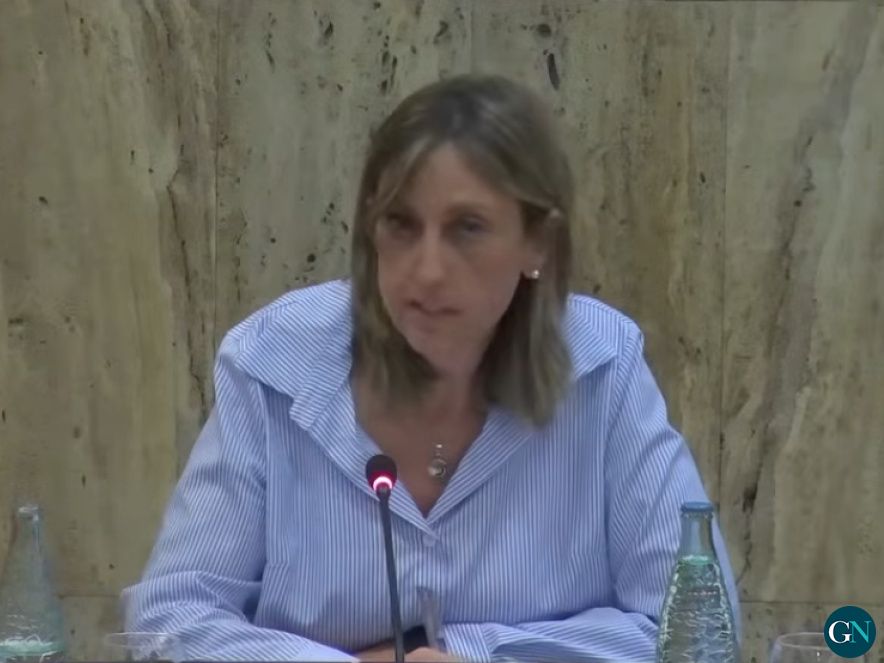 Cristina Alarcon Piedra al Ple 