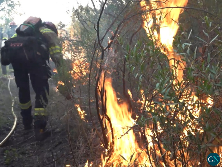 Bombers a l'incendi del Baix Empordà / GN 
