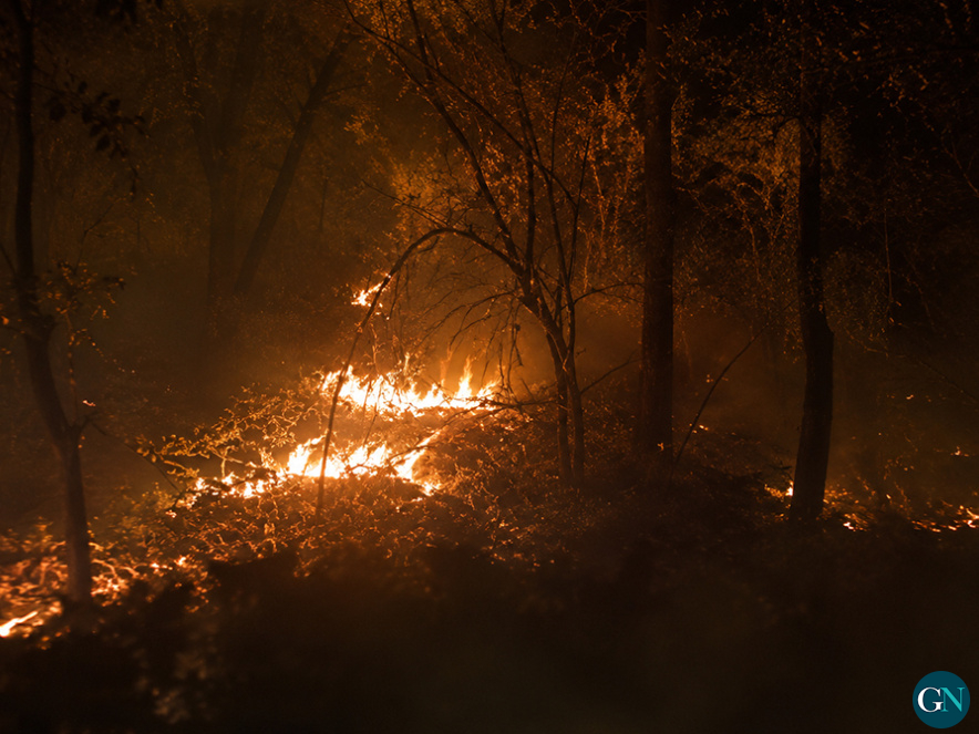 incendi sense control a les Gavarres / © Gironanoticies.com 