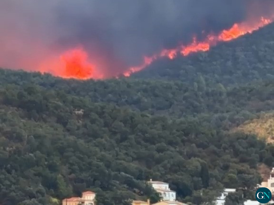 Incendi  a les Gavarres / © Gironanoticies.com  