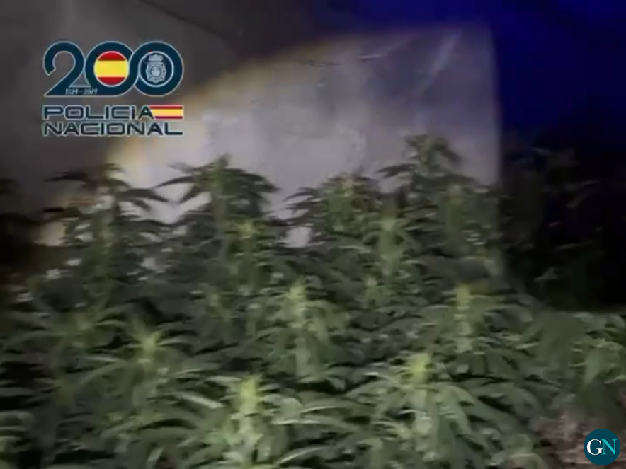 alt - Policia Nacional  / GN 
