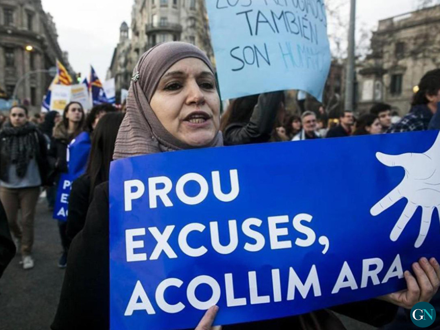 alt - Acollim Ara 