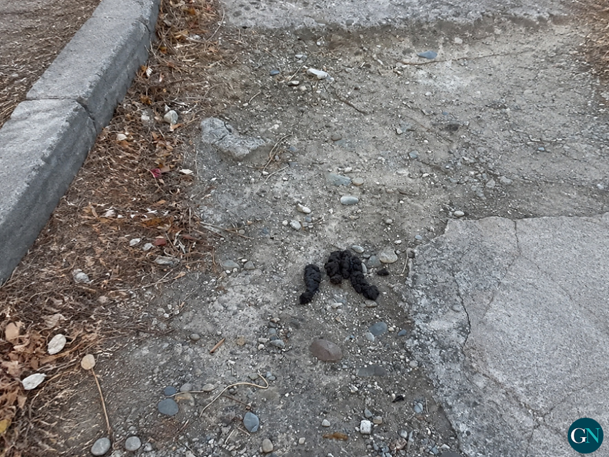 alt - Estat de les voreres de Llançà a 19 d'agost / GN 