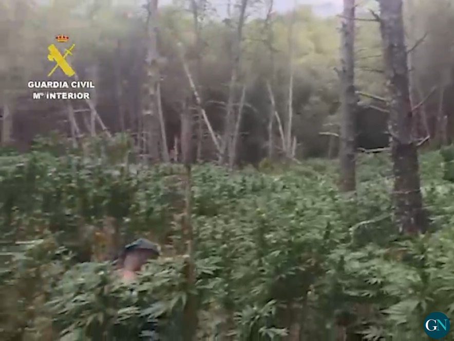 alt - Guardia Civil / GN 