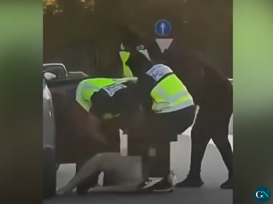 alt - 