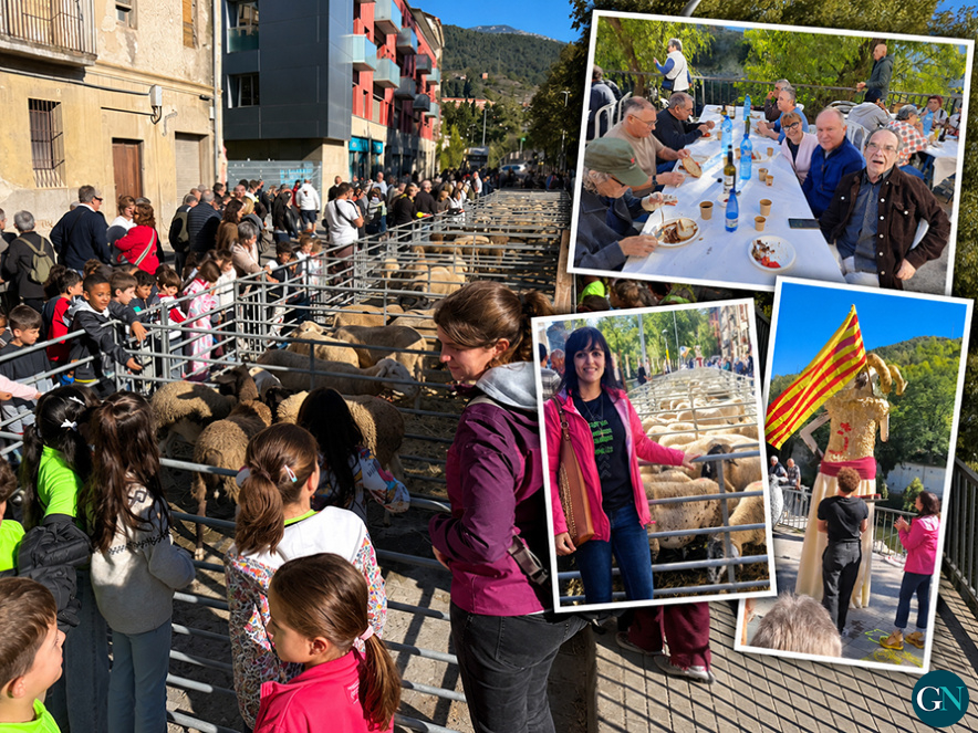alt - Fira de Santa Teresa i Fira Catalana de l’Ovella 