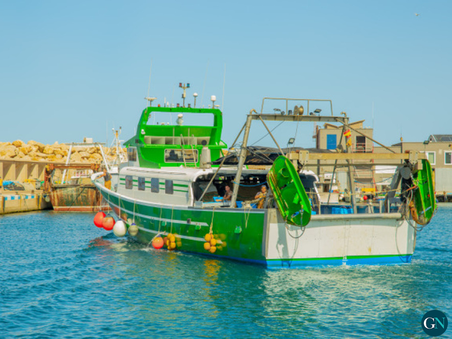 alt - Arrossegament del port de Llançà 