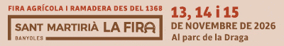 Festa Banyoles
